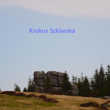 Apartament Krokus Szklarska Szklarska Poreba Bagian luar foto